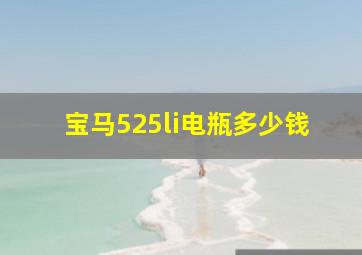 宝马525li电瓶多少钱