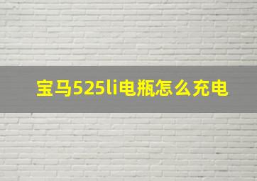 宝马525li电瓶怎么充电