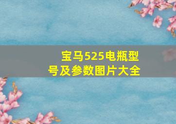 宝马525电瓶型号及参数图片大全