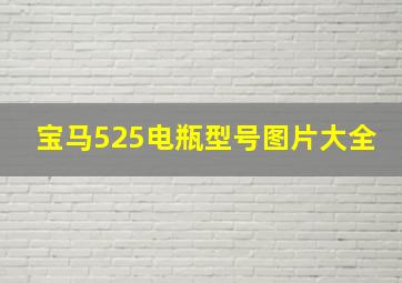 宝马525电瓶型号图片大全