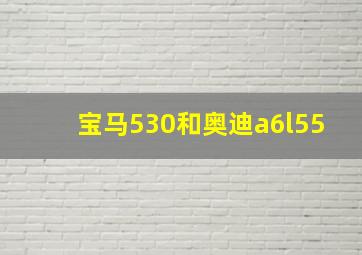 宝马530和奥迪a6l55