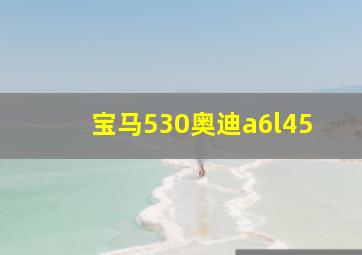 宝马530奥迪a6l45