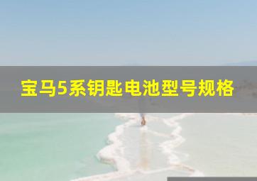 宝马5系钥匙电池型号规格