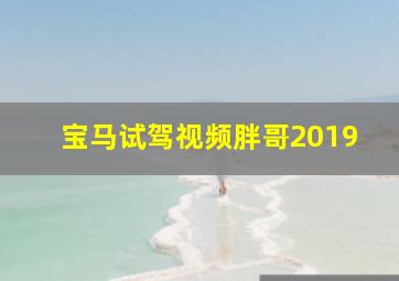 宝马试驾视频胖哥2019