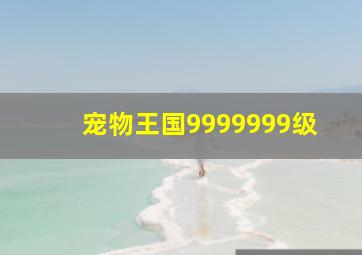 宠物王国9999999级