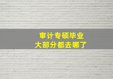 审计专硕毕业大部分都去哪了