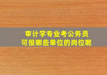 审计学专业考公务员可报哪些单位的岗位呢