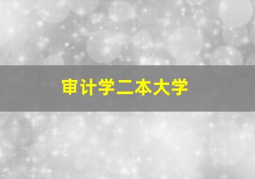 审计学二本大学