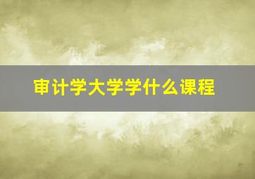 审计学大学学什么课程