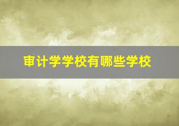 审计学学校有哪些学校