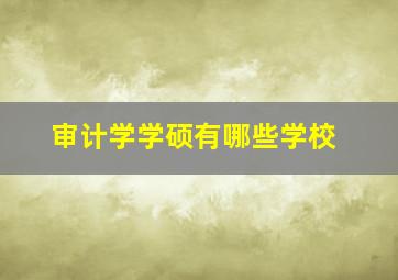 审计学学硕有哪些学校