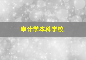 审计学本科学校