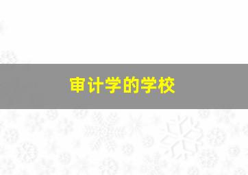 审计学的学校