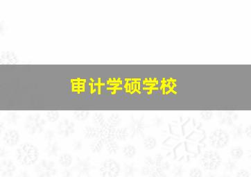 审计学硕学校