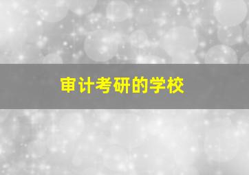 审计考研的学校