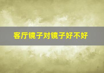 客厅镜子对镜子好不好