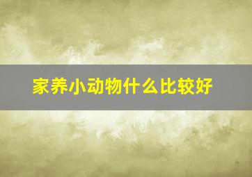 家养小动物什么比较好