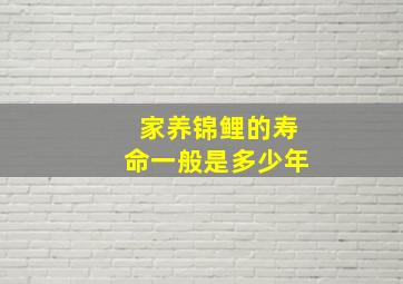 家养锦鲤的寿命一般是多少年