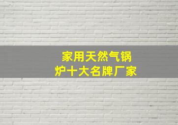 家用天然气锅炉十大名牌厂家