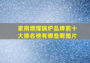 家用燃煤锅炉品牌前十大排名榜有哪些呢图片