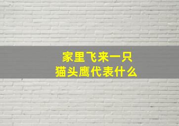 家里飞来一只猫头鹰代表什么