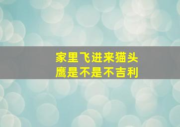 家里飞进来猫头鹰是不是不吉利