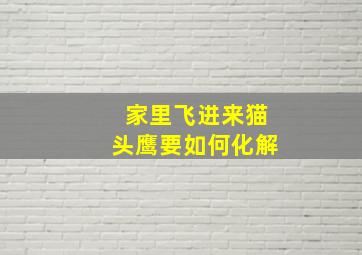 家里飞进来猫头鹰要如何化解