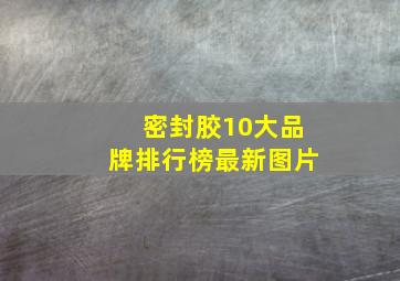 密封胶10大品牌排行榜最新图片