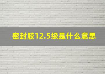 密封胶12.5级是什么意思