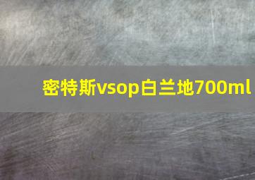 密特斯vsop白兰地700ml