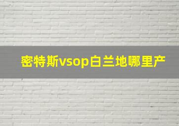 密特斯vsop白兰地哪里产