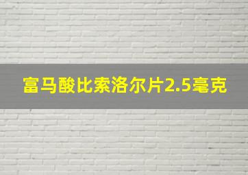 富马酸比索洛尔片2.5毫克