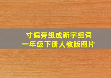 寸偏旁组成新字组词一年级下册人教版图片