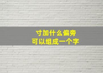 寸加什么偏旁可以组成一个字