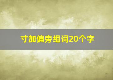 寸加偏旁组词20个字