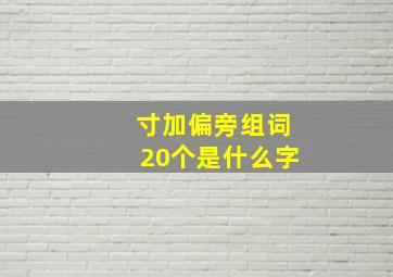 寸加偏旁组词20个是什么字