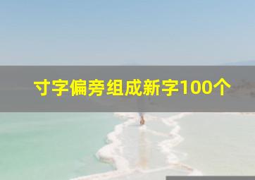 寸字偏旁组成新字100个