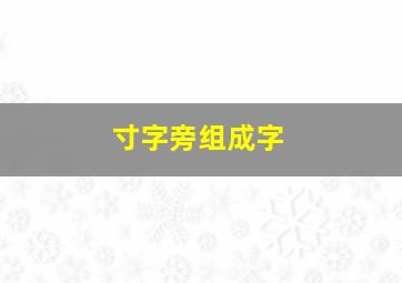 寸字旁组成字