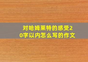 对哈姆莱特的感受20字以内怎么写的作文