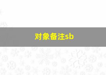 对象备注sb