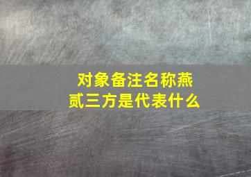 对象备注名称燕贰三方是代表什么