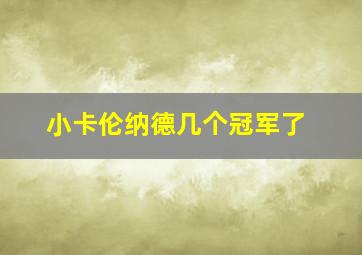 小卡伦纳德几个冠军了