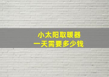 小太阳取暖器一天需要多少钱