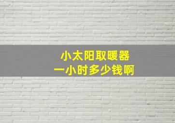 小太阳取暖器一小时多少钱啊