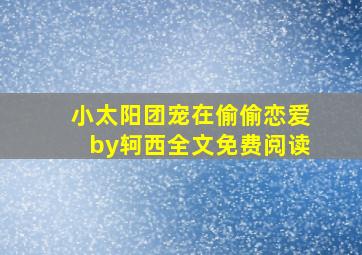 小太阳团宠在偷偷恋爱by轲西全文免费阅读