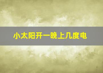 小太阳开一晚上几度电