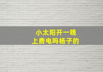 小太阳开一晚上费电吗杨子的