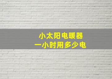 小太阳电暖器一小时用多少电