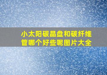 小太阳碳晶盘和碳纤维管哪个好些呢图片大全