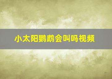 小太阳鹦鹉会叫吗视频